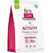 Brit Sustainable Activity