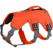 Ruffwear Web Master valjaat koiralle, oranssi