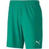 Puma Jalkapalloshortsit teamGOAL 23 - Vihreä, koko XX-Large