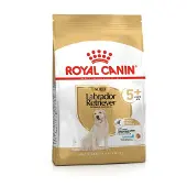 Royal Canin Labrador Retriever Senior Adult 5+ kuivaruoka vanhemmille labradorinnoutajakoirille, 12 kg