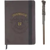 Cerdá Harry Potter Hogwarts Notebook Kultainen