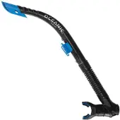 Oceanic Arid Sukellus Snorkkeli