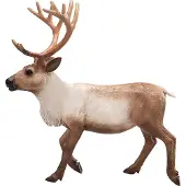 MOJO Wildlife Reindeer