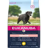 Eukanuba 2x3kg Premium Nutrition Senior Large & Giant Breed kana koiran kuivaruoka