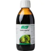 A.Vogel A. Vogel Santasapina Kuusenkerkkäsiirappi 200 ml ravintolisä