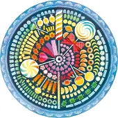 Ravensburger Circle Of Colors Candy Palapeli 500