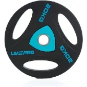 LivePro Urethane Levypaino - 20kg