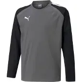 Puma Toiminnallinen paita 'TeamLiga' harmaa / musta / valkoinen