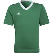 Adidas Toiminnallinen paita 'Entrada 22' ruohonvihreä / valkoinen