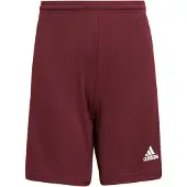 Adidas Shortsit Squadra 21 - Viininpunainen/valkoinen Lapset, koko 128 cm