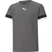 Puma Toiminnallinen paita 'TeamRise' tummanharmaa / musta / valkoinen