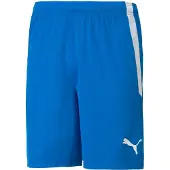 Puma Shortsit Teamliga - Sininen/valkoinen, koko Small