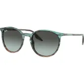 Ray-Ban - RB2204 1394GK 5120