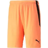 Puma Shortsit Teamliga - Oranssi/musta, koko Small