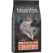 Briantos 12kg Adult Light/Sterilised kalkkuna & peruna koiranruoka