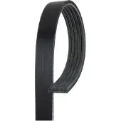 Gates Moniurahihna 5PK1095