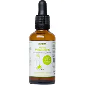 Biomed Aktiiviset folaattitipat 40 ml ravintolisä