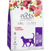 4vets 2x 1kg Natural Feline Gastro Intestinal kissanruoka