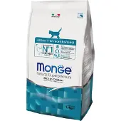 Monge Superpremium Cat 1,5kg Super Premium kissanpentu Monge