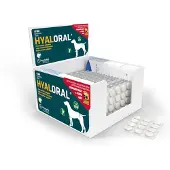 Hyaloral 360 tablettia razas grandes y gigantes lisäravinto koirille
