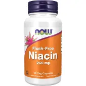 Now Niacin Flush-Free 250 Mg 90 kpl
