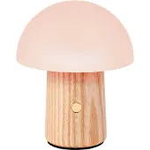 SmartaSaker Ladattava sienivalaisin, Small Saarni
