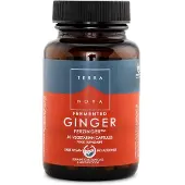Terranova Fermented Ginger FERZINGER 50 kaps. ravintolisä