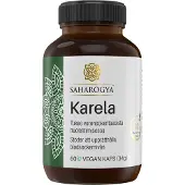 Saharogya Karela 500 mg (Parasta ennen 30.09.2026)