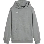 Puma Huppari Teamgoal Casuals - Harmaa Lapset, koko YXL/164 cm
