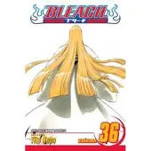 Kubo, Tite Bleach, Vol. 36