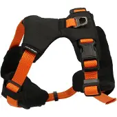 Dogman Emmi oranssi sporttivaljas