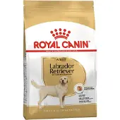 Royal Canin Labrador Retriever Adult, Koiran kuivaruoka, 12 kg