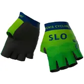 ALÉ Slovenian Federation Lyhyet Hanskat