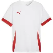 Puma Toiminnallinen paita 'TeamGoal Matchday' punainen / valkoinen