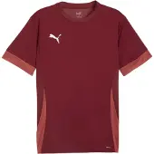 Puma Toiminnallinen paita punainen / valkoinen