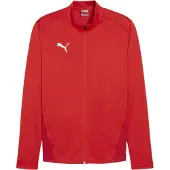 Puma Toiminnallinen paita 'TeamGoal' punainen / valkoinen