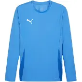 Puma Toiminnallinen paita 'TeamGoal' sininen / taivaansininen / valkoinen