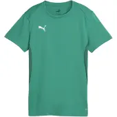 Puma Teamgoal Jersey Wmn Sport Green-White, koko Large