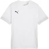 Puma Treenipaita Teamgoal - Valkoinen/musta/harmaa, koko X-Large