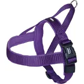 Nobby Classic Preno S/m koiranpannat, 25mm/38-50cm, violetti