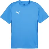 Puma Treenipaita Teamgoal - Sininen/valkoinen, koko Small