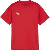 Puma Toiminnallinen paita 'TeamGoal' punainen / valkoinen
