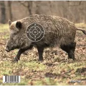 Gyttorp Paper Targets Wild Animals 14x14cm 50pcs (Animal: Wild Boar)