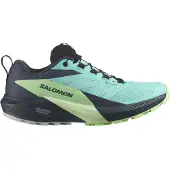 Salomon Sense Ride 5 Gore-tex Polkujuoksukengät