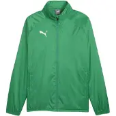 Puma Urheilutakki 'TeamGoal' vihreä / valkoinen