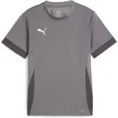 Puma Treenipaita Teamgoal - Harmaa/valkoinen Lapset, koko 128 cm