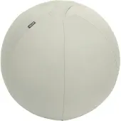Leitz Ergo, aktiivipallo lisäpainolla, 55cm, vaaleaharmaa