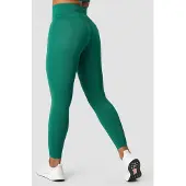ICANIWILL Define Seamless V-shape Tights Winter Green