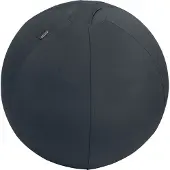 Leitz Ergo, aktiivipallo lisäpainolla, 55cm, tummanharmaa