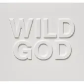 Cd Nick Cave & The Bad Seeds - Wild God (CD)